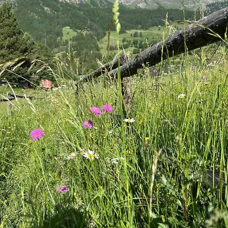 Maison Du Coeur - Spa, Gym E Aree Relax 아파트