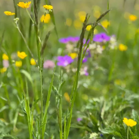 Maison Du Coeur - Spa, Gym E Aree Relax 아파트 샴폴루크