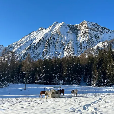 아파트 Maison Du Coeur - Spa, Gym E Aree Relax
