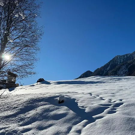 Maison Du Coeur - Spa, Gym E Aree Relax 아파트 *