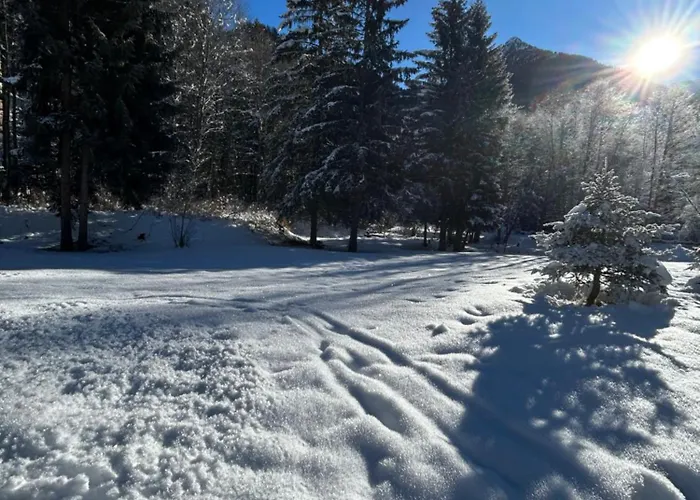 Apartman Maison Du Coeur - Spa, Gym E Aree Relax Champoluc